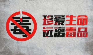 禁毒标语 国际禁毒日街道办宣传口号