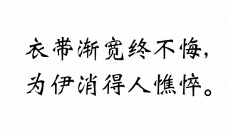 为伊消得人憔悴原文 作者是谁