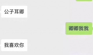 公子耳卿是成语吗 这个词是怎么来的