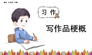 梗概作文500字 是怎么写的