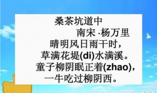 桑茶坑道中原文 桑茶坑道中原文及译文