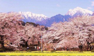 日本我孙子市在哪个县 日本我孙子市介绍