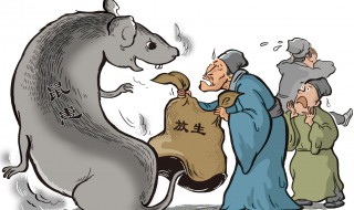 白天怎么把老鼠引出来 有什么方法