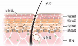 怎么去角质 去角质的方法