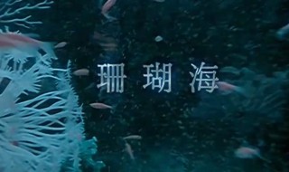 珊瑚海歌词 演唱者是谁