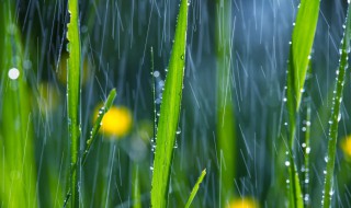 雨是怎样形成的 雨分哪几种形式