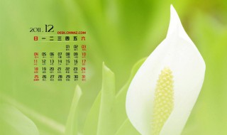 12月有什么节日 11月有什么节日