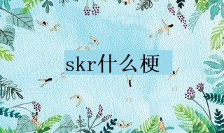 skr什么梗 科普skr的意思