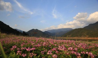 路边的野花不要采歌词 路边的野花不要采的具体歌词