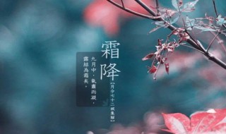 霜降节气的含义是什么 该节气有什么风俗