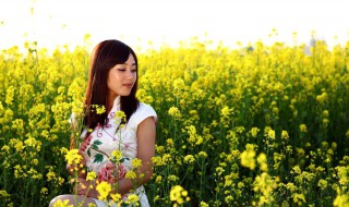 油菜花开的季节 油菜花什么季节开花