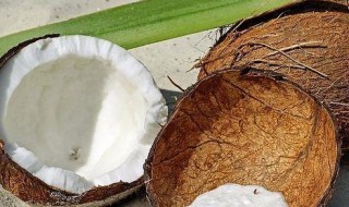 椰子的营养价值及功效 不宜喝椰子水的人群