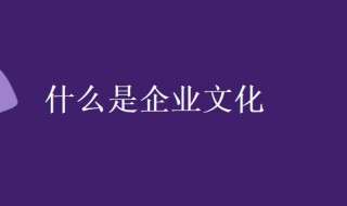 什么是企业文化 关于企业文化的解析