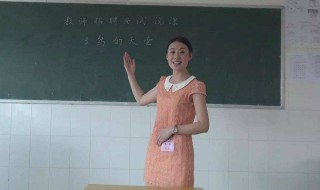 小学教师个人总结范文 是怎么写的