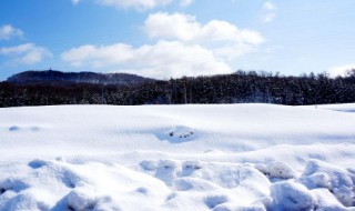 雪怎么形成的 能降雪的地方