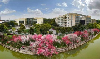 三峡大学怎么样 三峡大学介绍