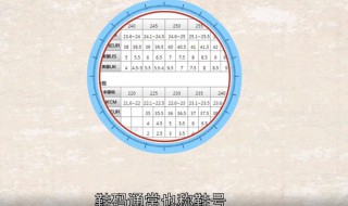 260是多少码 260代表着什么