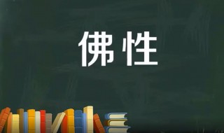 佛性是什么意思 佛性一词出自哪里