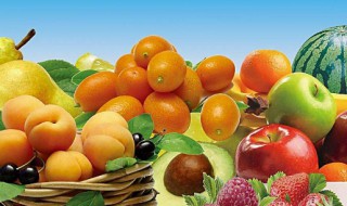 十大最有营养的水果 营养价值最高的水果排行榜
