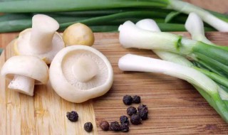 白蘑菇怎么做好吃 白蘑菇简介