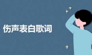 伤声表白歌词 伤声表白歌词经典语句