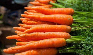 吃胡萝卜的好处 吃胡萝卜的好处有哪些