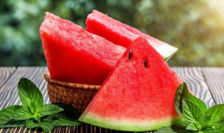 watermelon什么意思 watermelon单词发音及例句