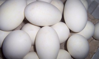 月子怎么做鹅蛋吃 制作蒸鹅蛋的方法