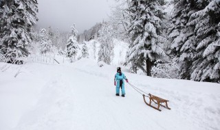 关于雪的优美句子 关于雪的优美句子有哪些