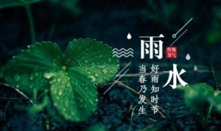 雨水节气特点有哪些 雨水节气的特点是什么