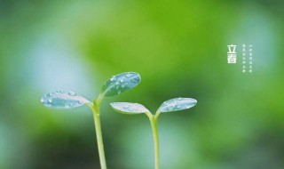 经典立春节气祝福语简短一句话 立春祝福语简短一句话