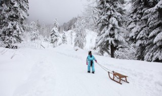 平行板滑雪教程 双板滑雪的教程