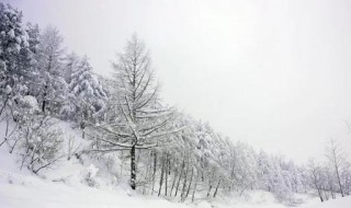 梦见雪花飘是什么征兆 梦见雪花飘的心理学解梦