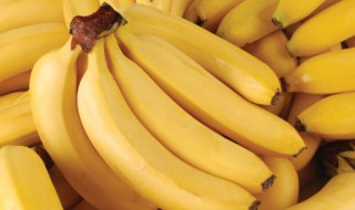 迷你世界怎么获得香蕉种子 迷你世界如何获得香蕉种子