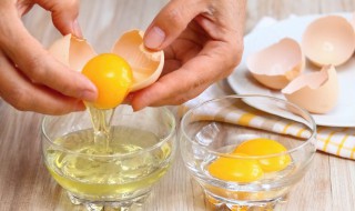怎么做鸡蛋辅食 如何做鸡蛋辅食