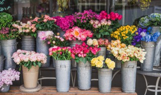 夏天花店鲜花保存方法 夏天花店鲜花怎样保存