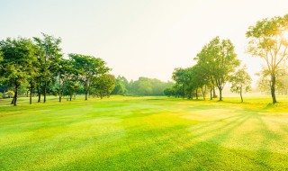 关于农村田园风景的好词好句 关于农村田园风景的好词好句精选