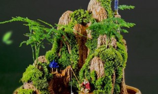 假山苔藓的养殖方法和注意事项 假山苔藓养护窍门和禁忌