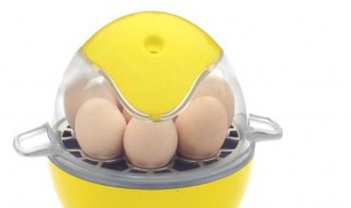 蒸蛋器煮鸡蛋几分钟 蒸蛋器煮鸡蛋怎么煮