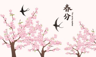 春分中国的传统习俗中国春分的传统习俗有什么