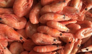 北极虾怎么做才好吃 北极虾的家常做法