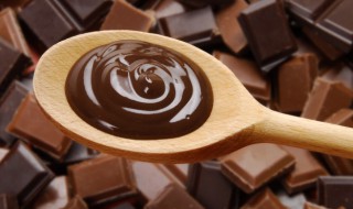 巧克力种类 关于巧克力的种类