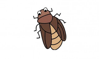 蟑螂寿命 蟑螂的简单介绍