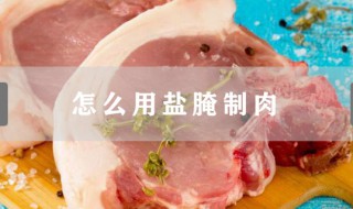 怎么用盐腌制肉 盐腌制肉方法