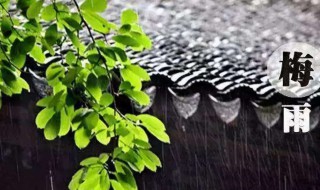 梅雨季节要小心 在梅雨季节要注意什么