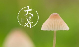 大暑节气的含义 大暑节气的介绍