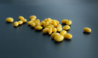 黄豆怎么种植方法 如何种植黄豆