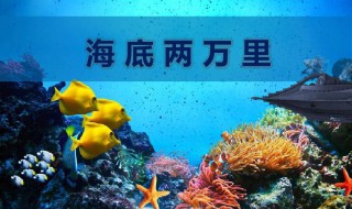 海底两万里好段摘抄 海底两万里好段摘抄有哪些