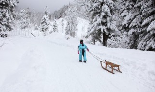 大雪节气文案 大雪节气文案有哪些