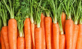 胡萝卜是怎么储存的 胡萝卜的储存方法